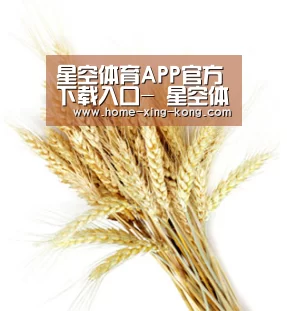 星空体育APP官方下载入口- 星空体育