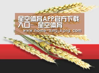 星空体育APP官方下载入口- 星空体育